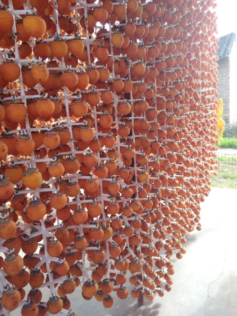 柿饼1~2两