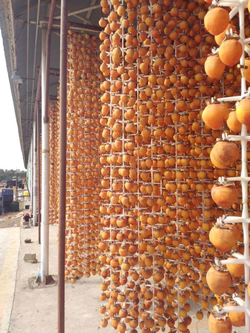 柿饼1~2两