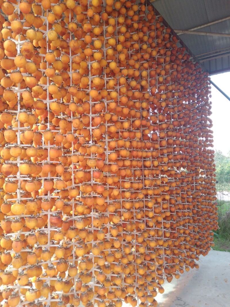 柿饼1~2两