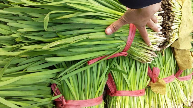平韭6号韭菜，质量优良，价钱便宜！头茬韭菜