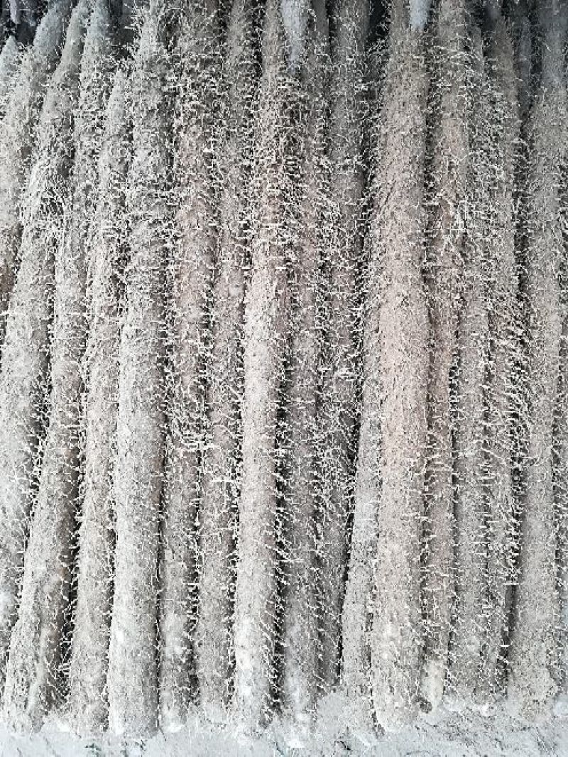 麻山药8厘米以上70~90厘米一级下脚料