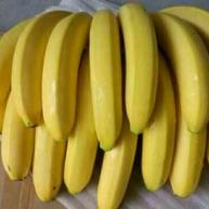 [香蕉批发]香蕉1.70元/斤 - 一亩田