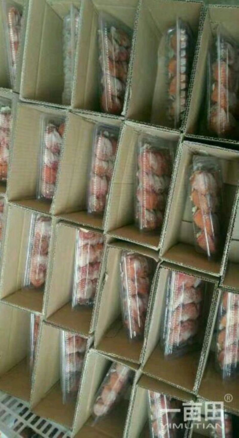 柿饼1~2两