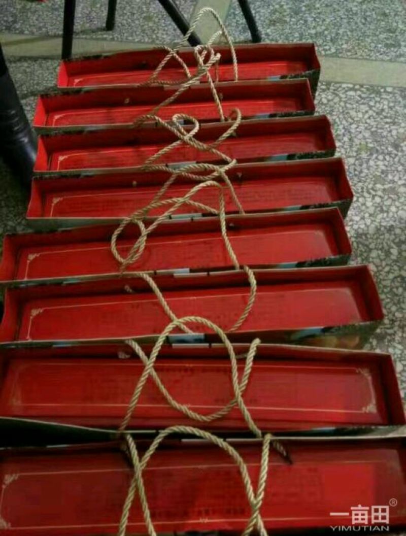 柿饼1~2两