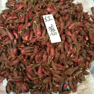红葱大葱25~30cm净葱1cm左右