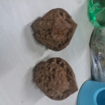 麻核桃去皮40mm以上干