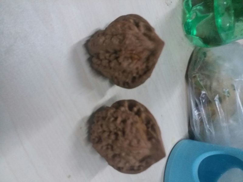 麻核桃去皮40mm以上干