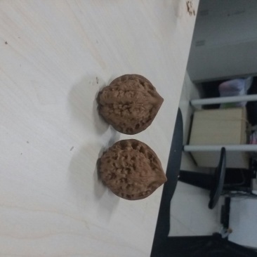 麻核桃去皮40mm以上干