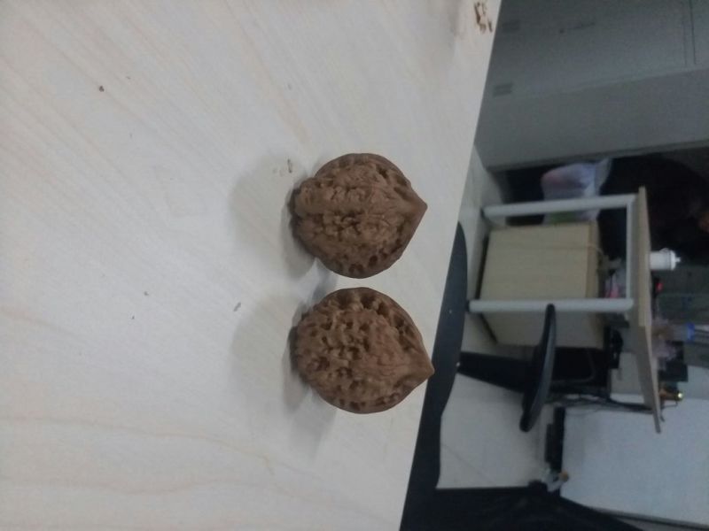 麻核桃去皮40mm以上干