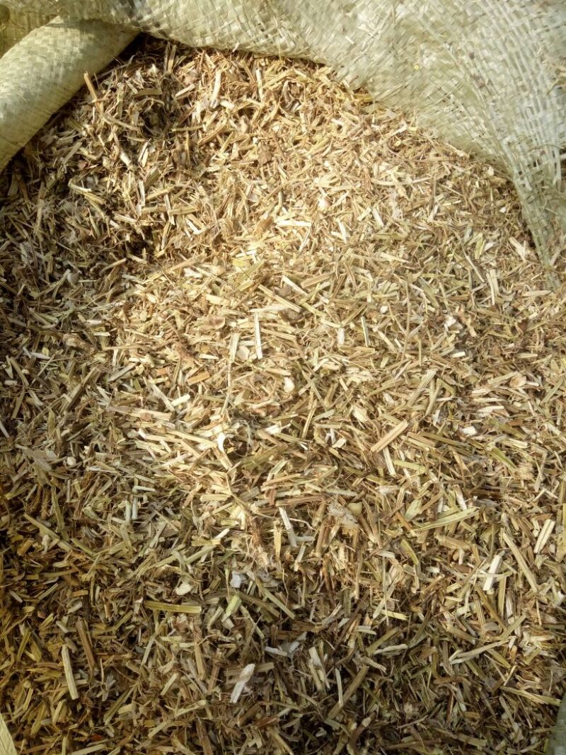 花生秧48个月