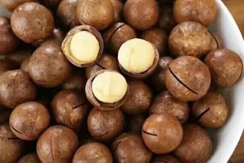 夏威夷果带壳