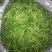 小米椒2~5厘米青特辣