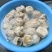 灰豆腐果