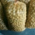薄皮核桃25~35mm去皮干