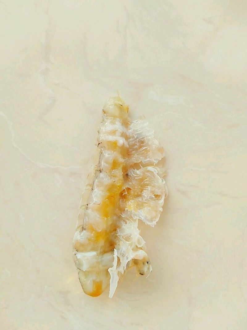 皮皮虾活虾
