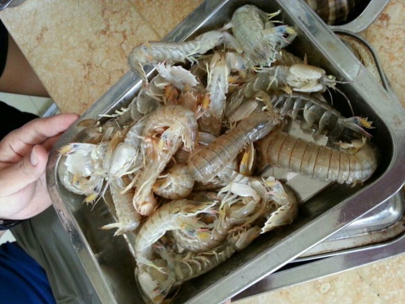 皮皮虾活虾
