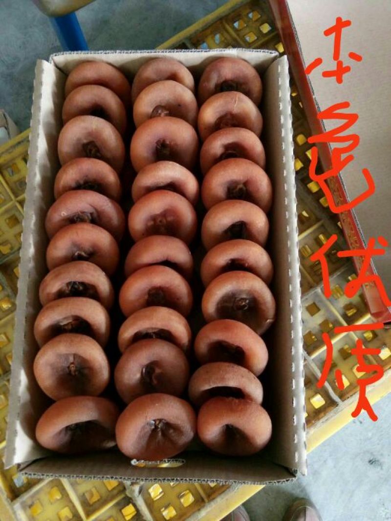 柿饼1~2两