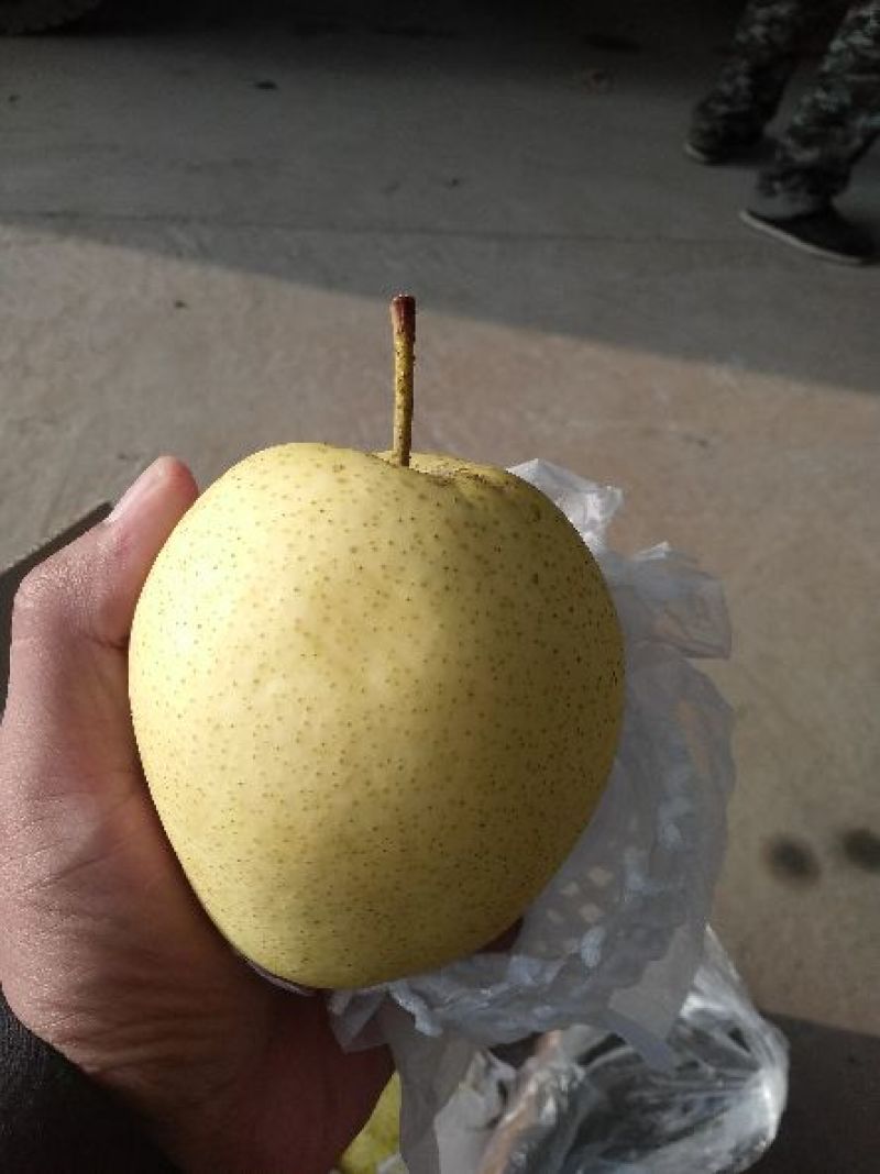 雪花梨纸箱300~350g