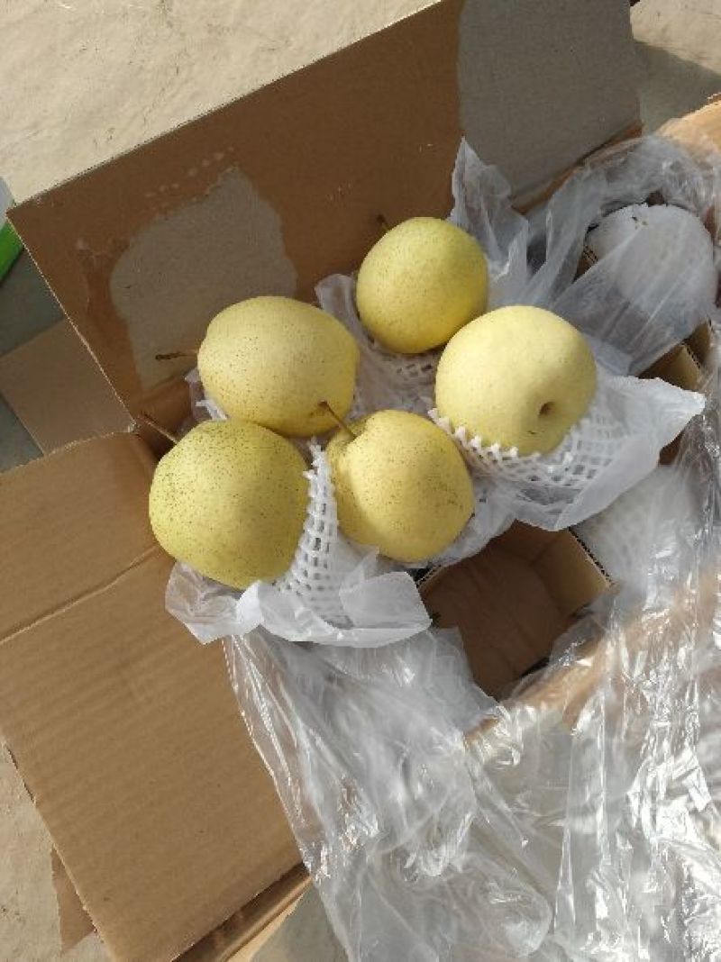 雪花梨纸箱300~350g