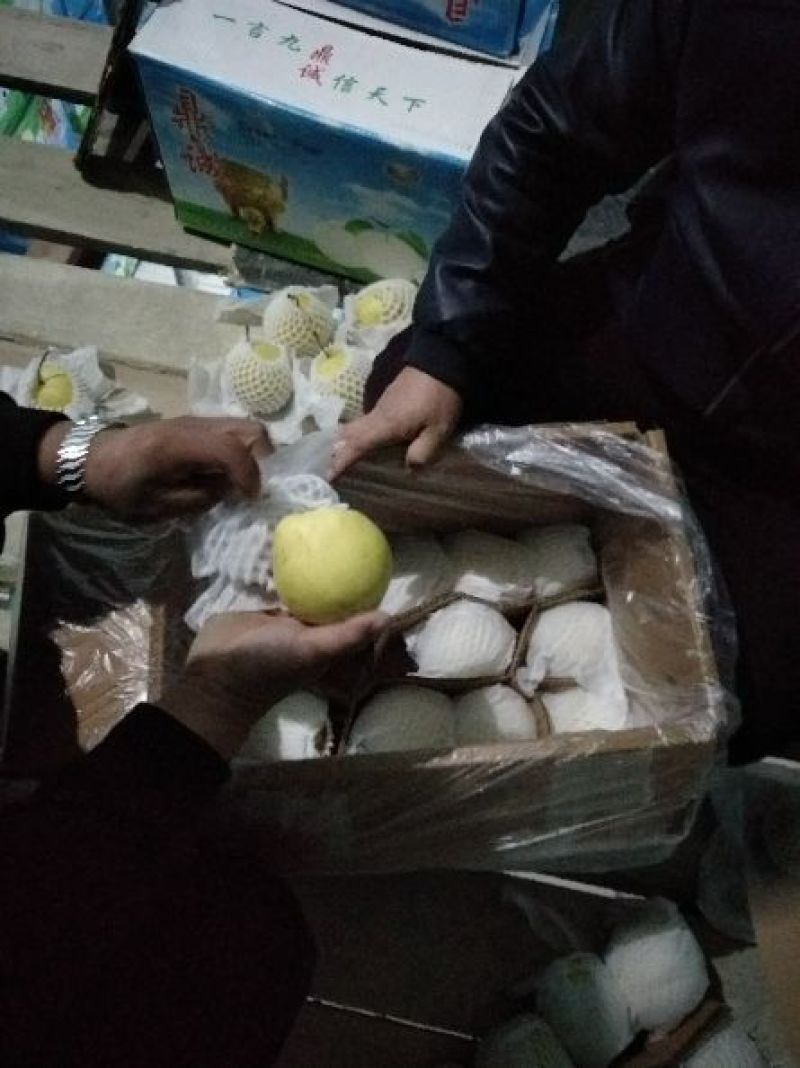 雪花梨纸箱300~350g