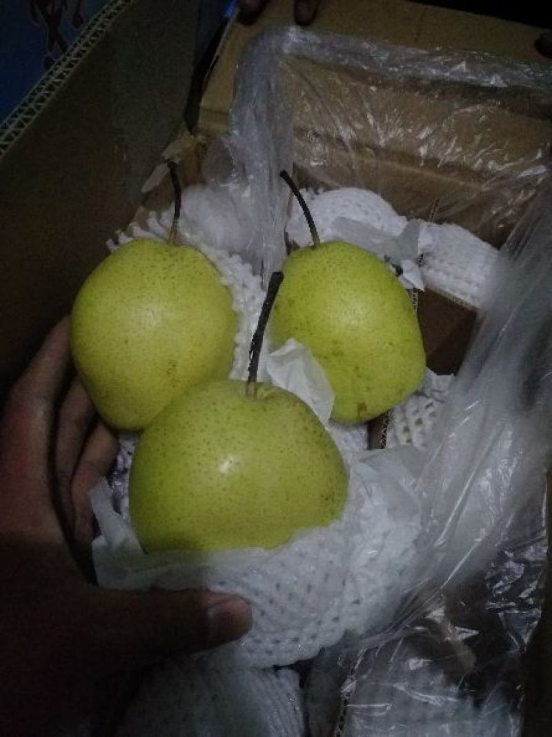 雪花梨纸箱300~350g