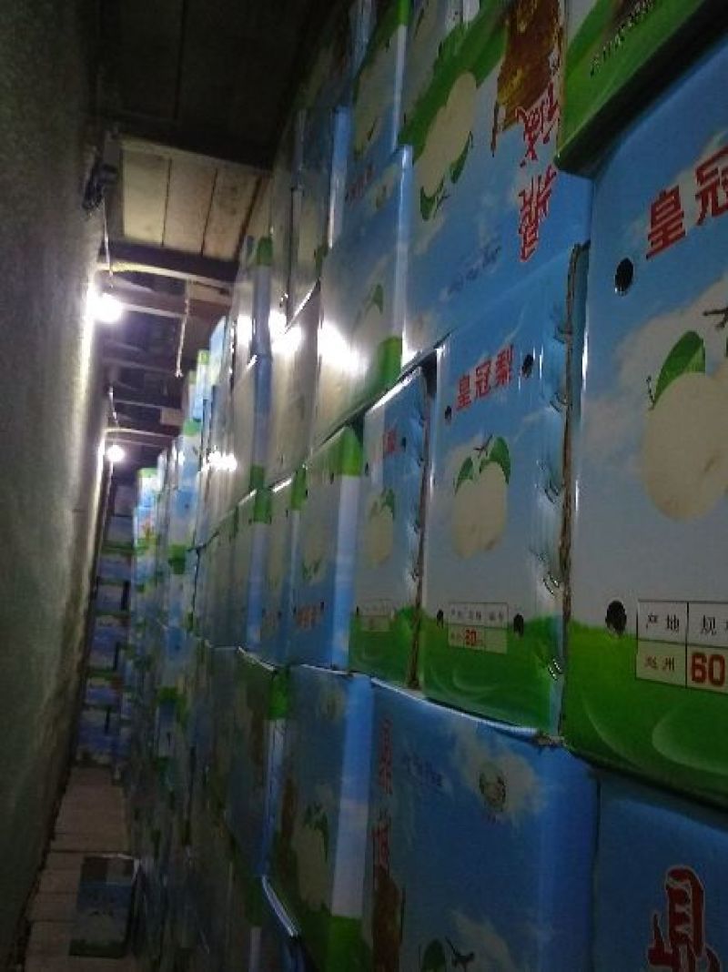雪花梨纸箱300~350g