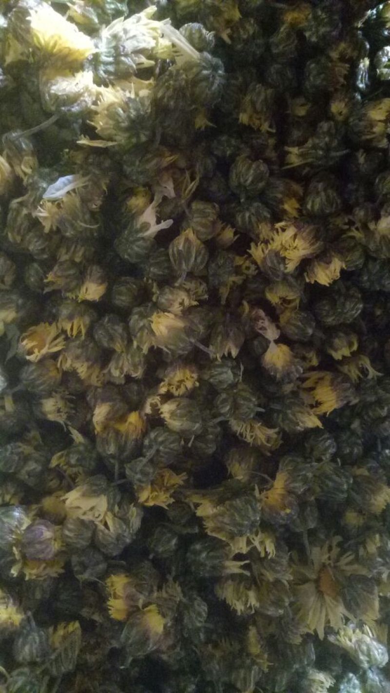 杭白菊散装