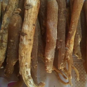 红参