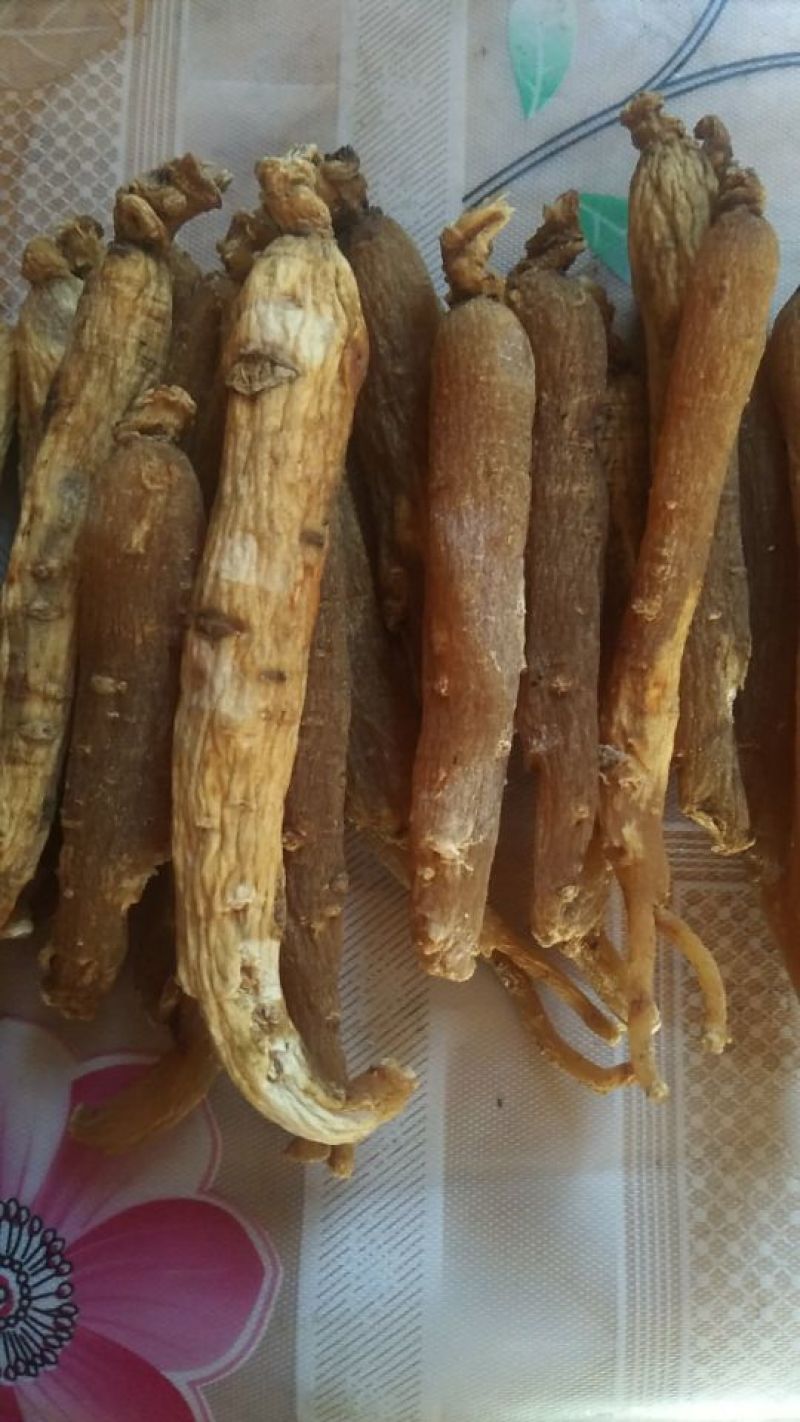 红参