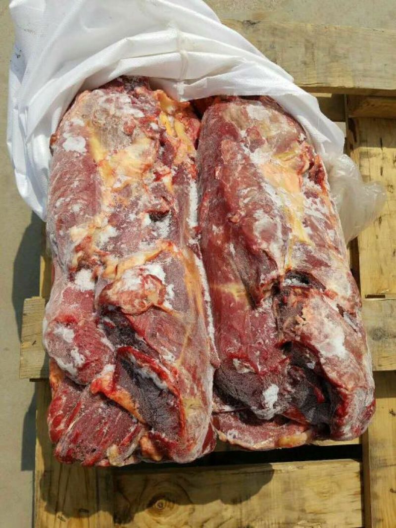 马肉冷冻