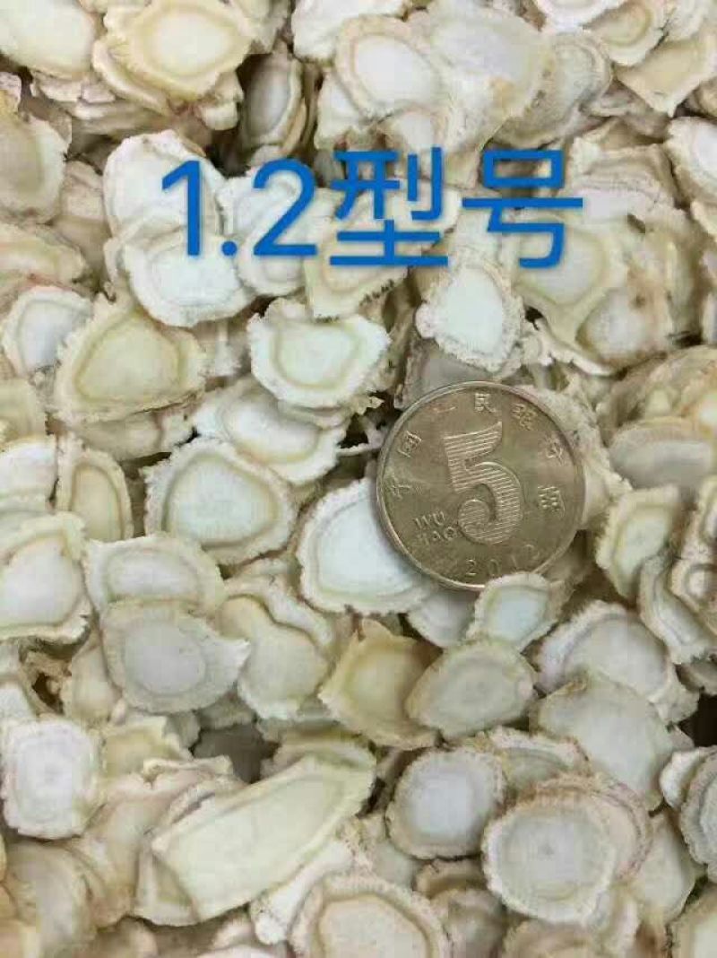西洋参选货
