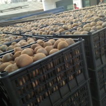 猕猴桃70~90克
