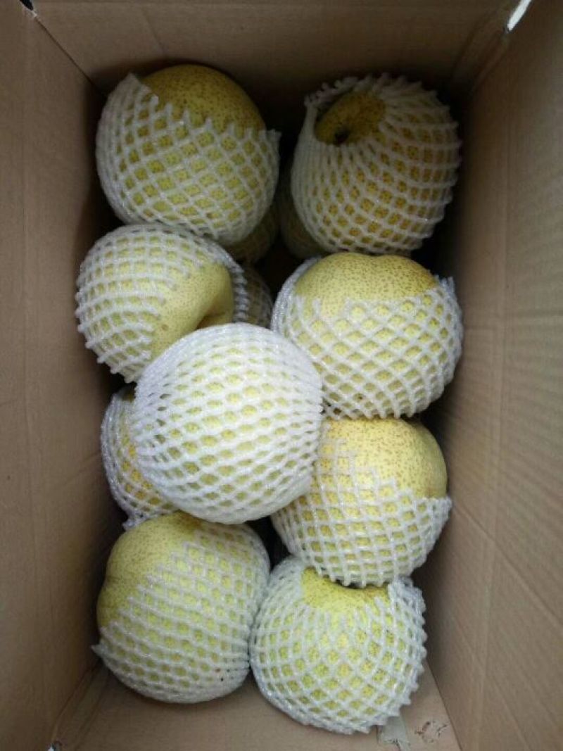 雪花梨光果250~300g