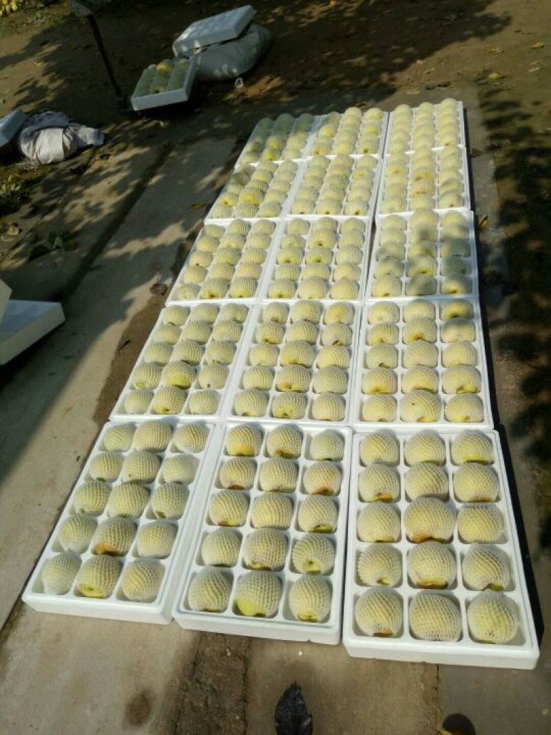 雪花梨纸箱250~300g