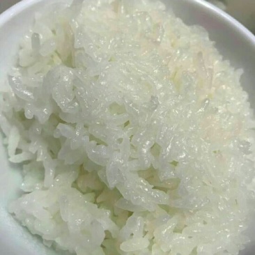 稻花香2号大米新米特级