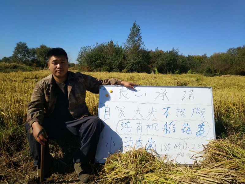 稻花香2号大米新米特级
