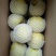 雪花梨光果250~300g