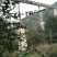 柿饼1~2两
