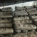 香菇菌棒18*60公分