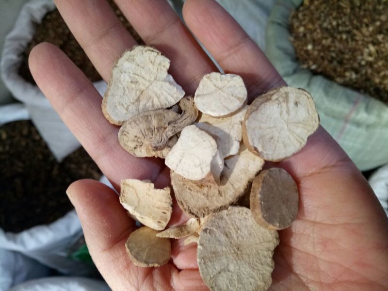 粉防己江西干货2斤起包邮