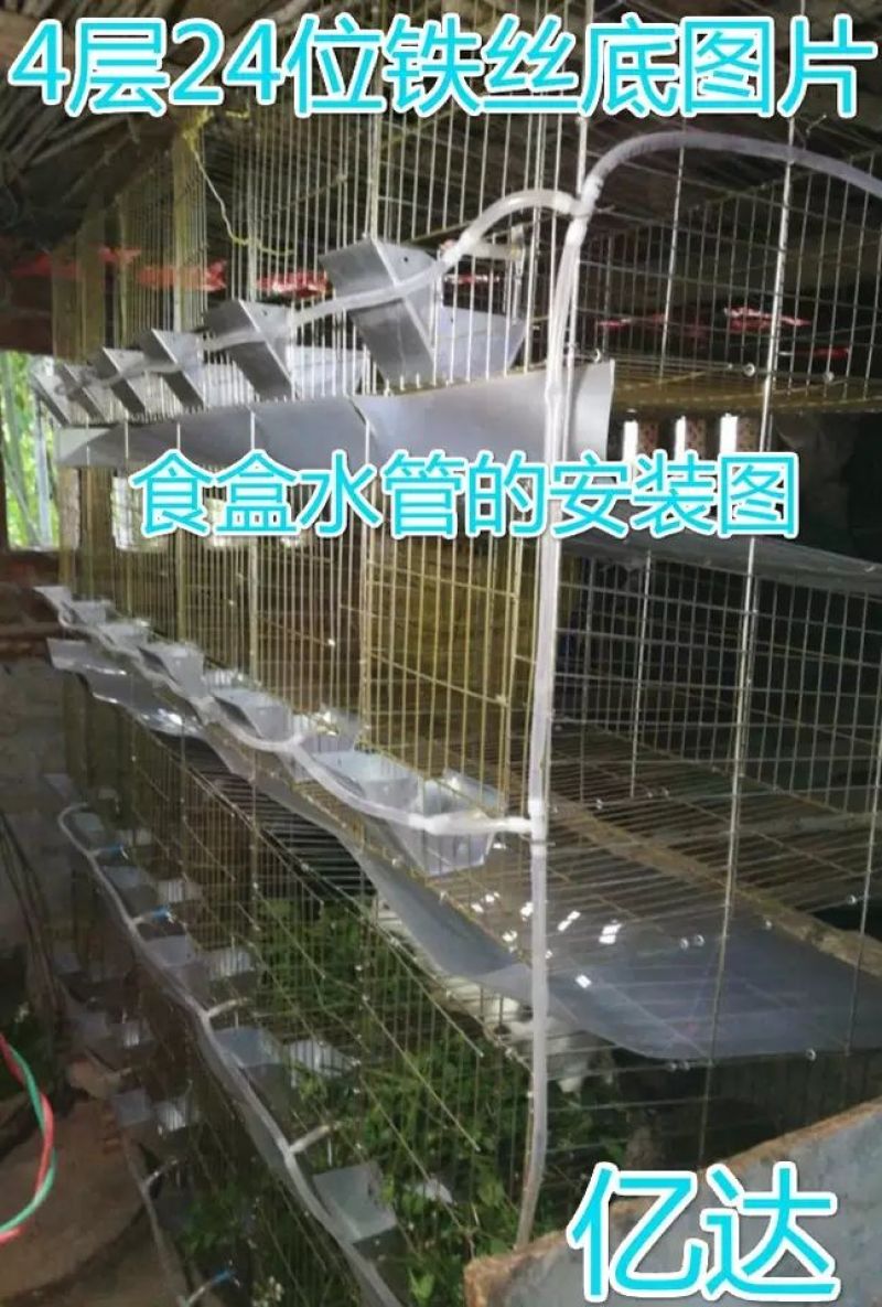 笼具兔笼加粗子母铁丝裸笼
