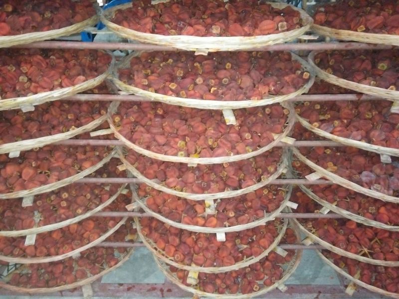 柿饼1~2两