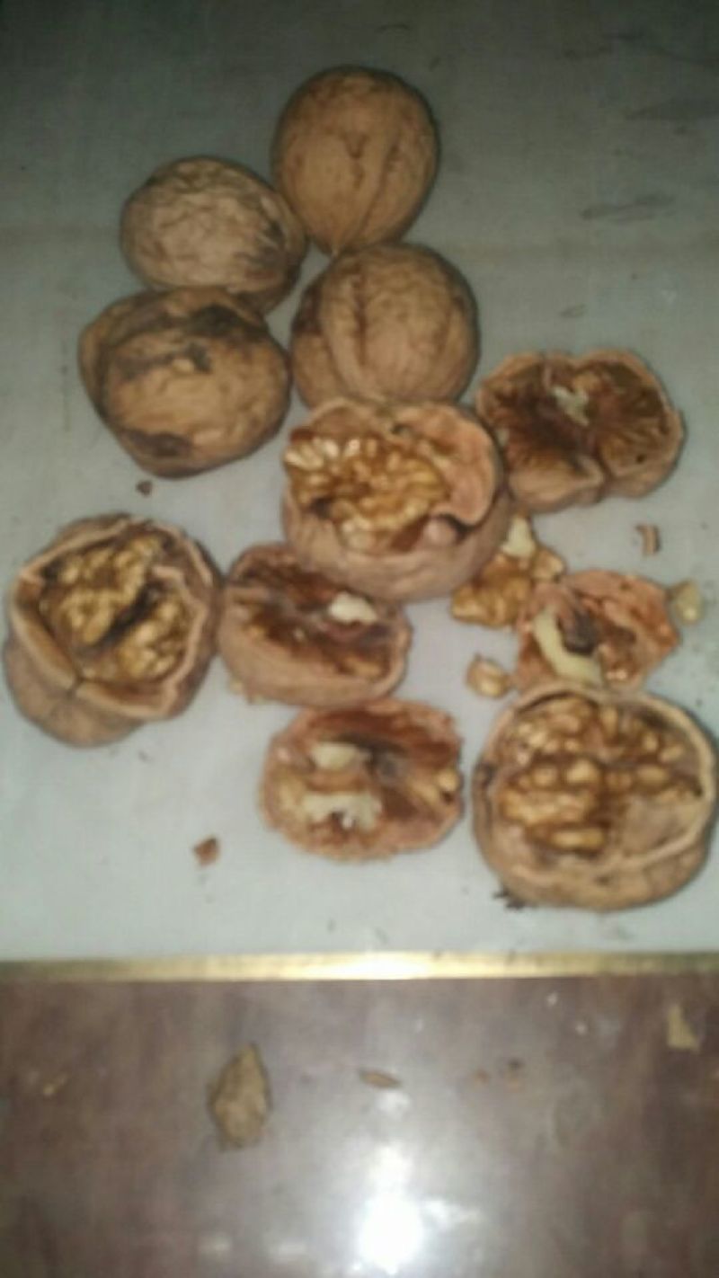绵核桃30mm以上去皮干