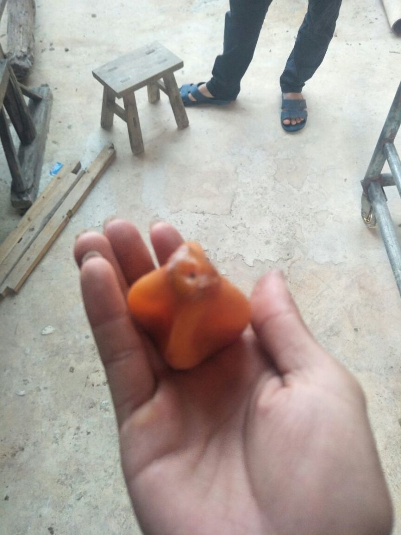 柿饼1~2两