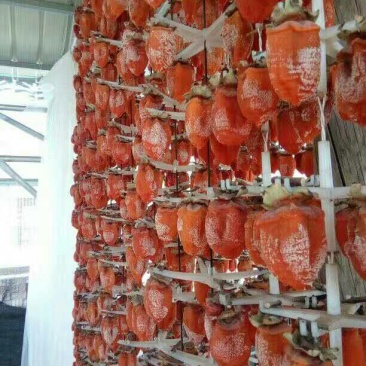 柿饼1~2两