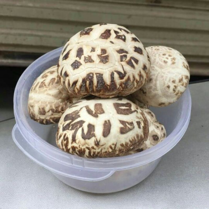 花菇泌阳白花菇干货4-7公分肉厚冬菇带脚花菇原产地批发