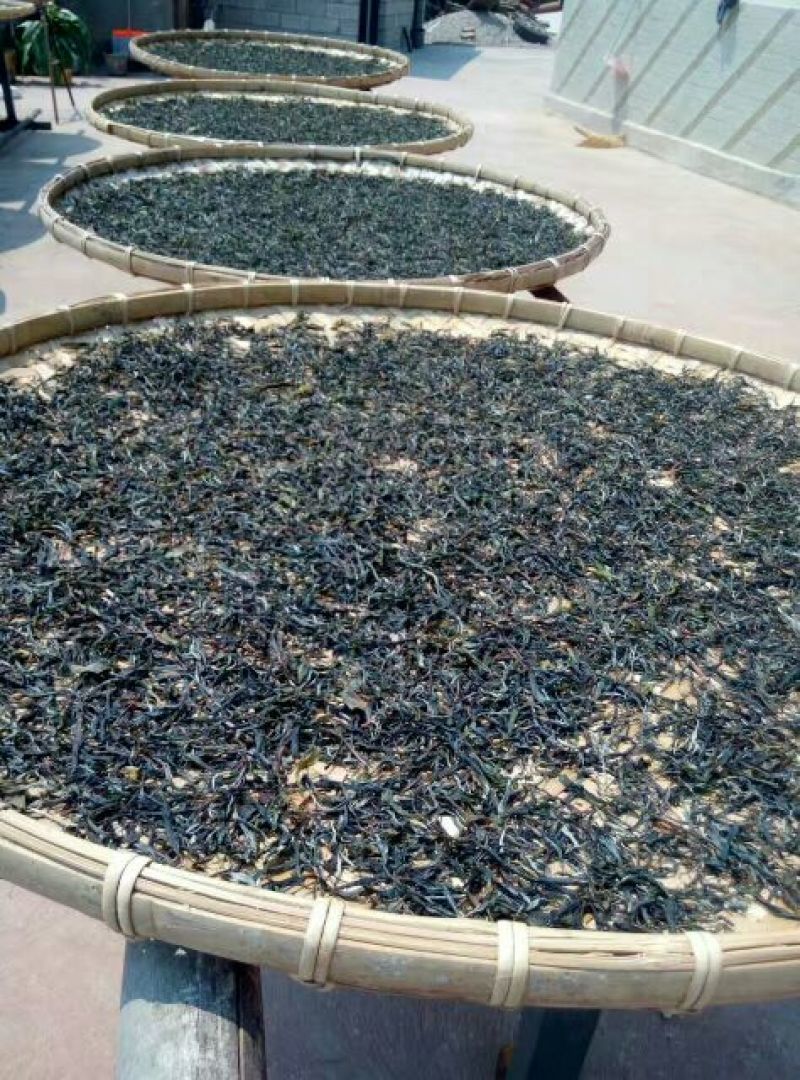 普洱茶末茶