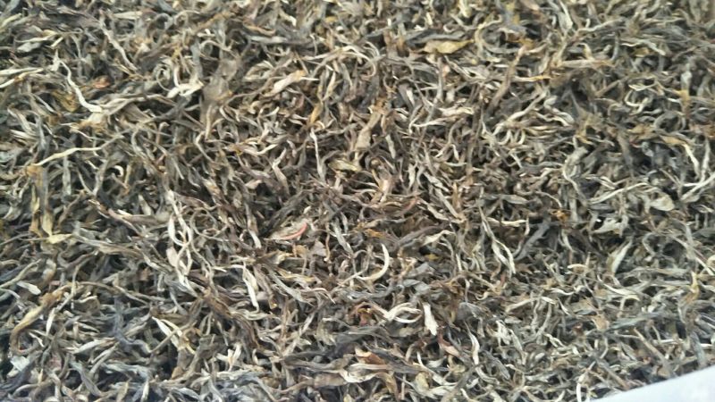普洱茶一级