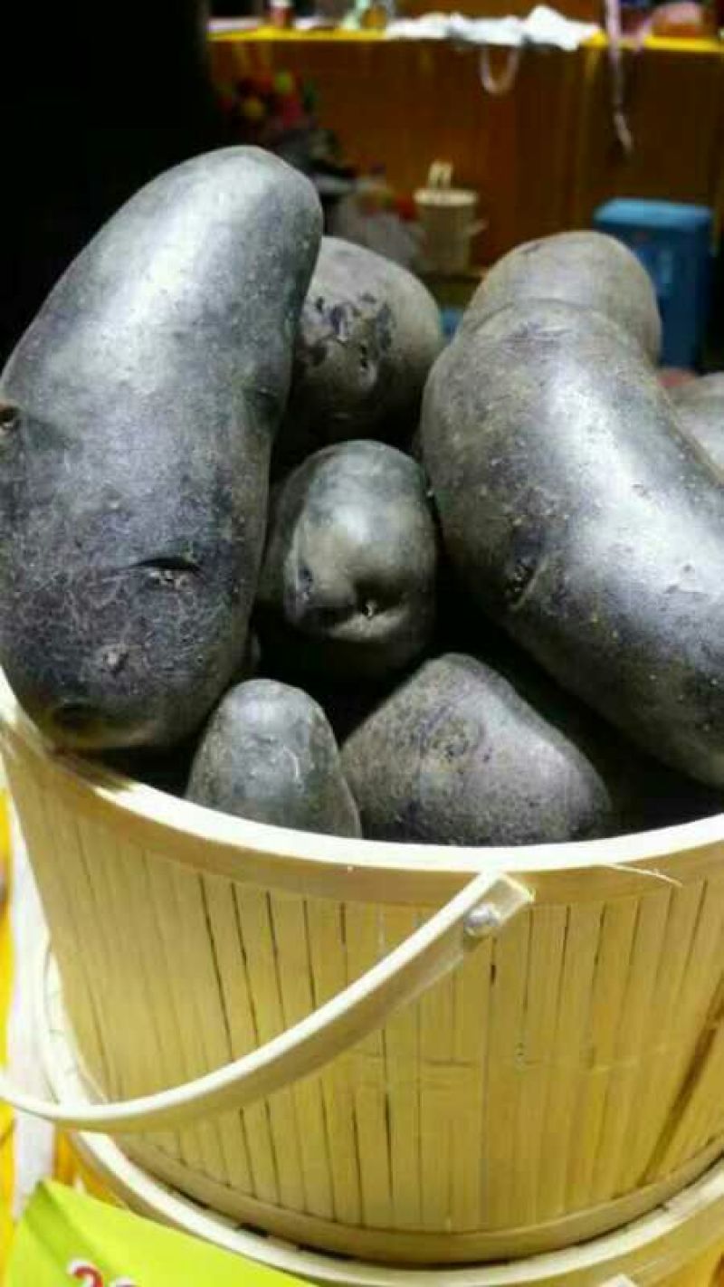 黑金刚土豆种子原种