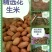 红米花生花生米精选米色选花生米